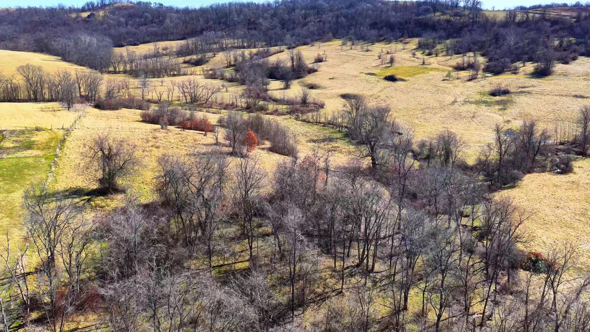 0 SR 376 Tract 1 - 13.5 Acres in Morgan County, OH - Photo 11