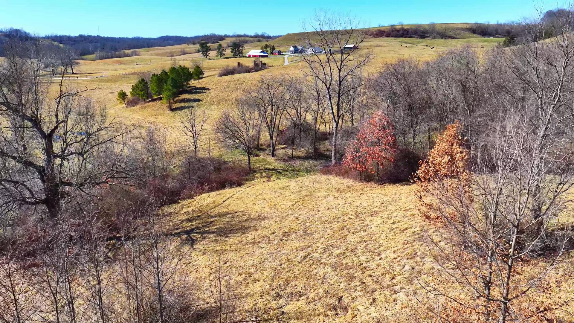 0 SR 376 Tract 1 - 13.5 Acres in Morgan County, OH - Photo 7