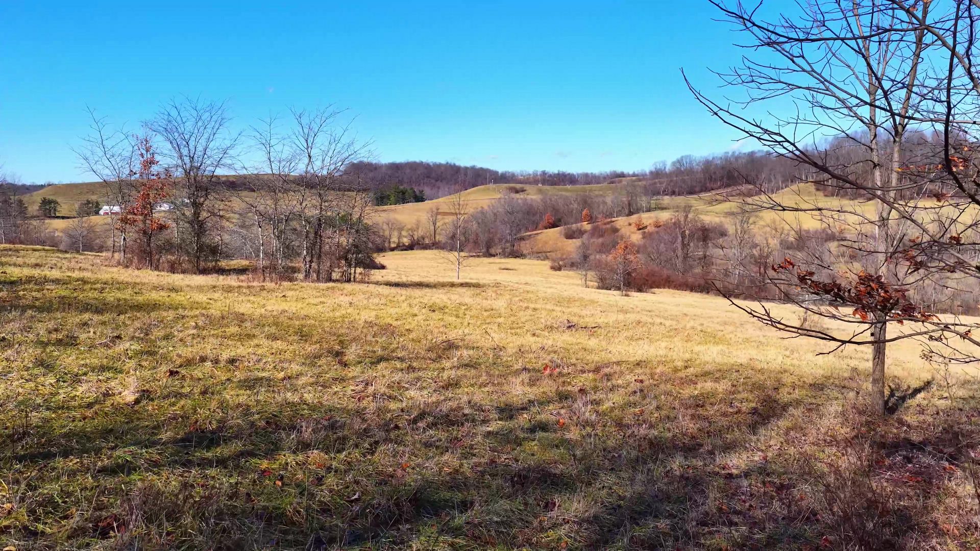 0 SR 376 Tract 1 - 13.5 Acres in Morgan County, OH - Photo 8