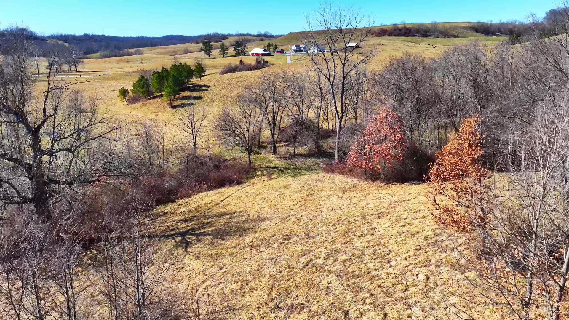 0 SR 376 Tract 1 - 13.5 Acres in Morgan County, OH - Photo 10