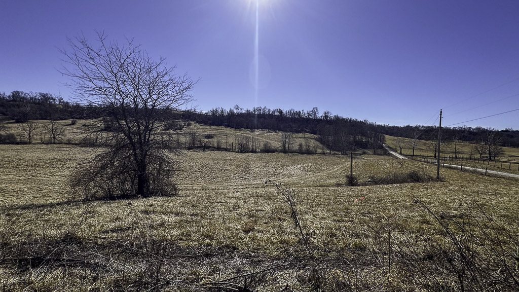 0 SR 376 Tract 2 - 14 Acres in Morgan County, OH - Photo 11
