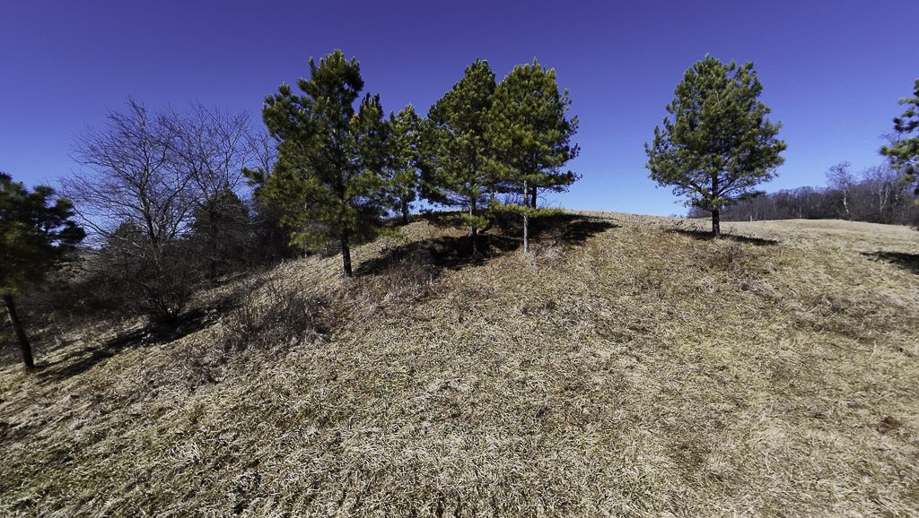 0 SR 376 Tract 2 - 14 Acres in Morgan County, OH - Photo 14