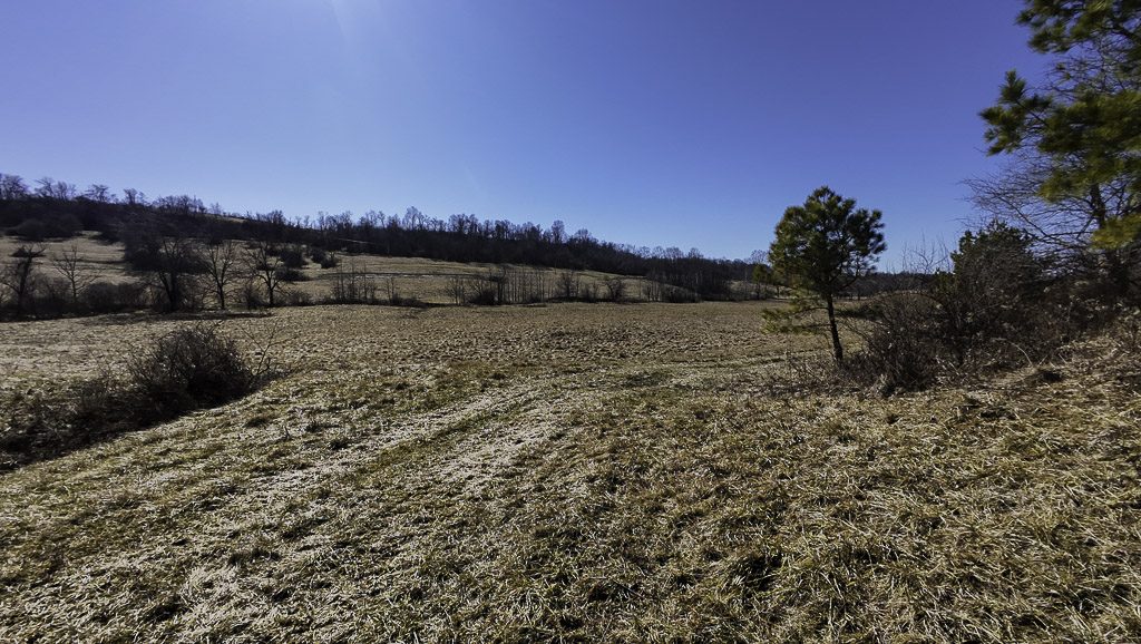 0 SR 376 Tract 2 - 14 Acres in Morgan County, OH - Photo 9