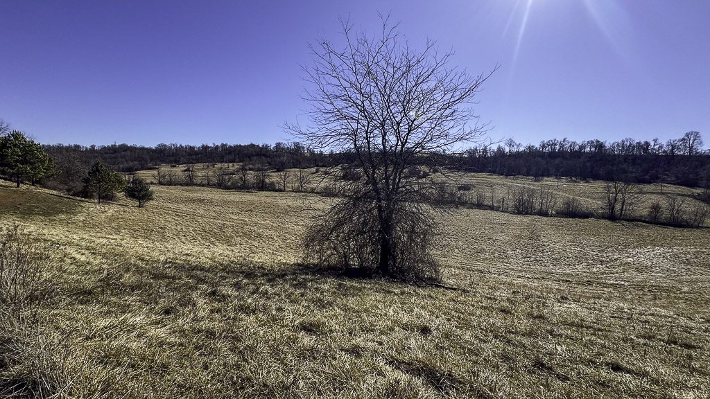 0 SR 376 Tract 2 - 14 Acres in Morgan County, OH - Photo 10