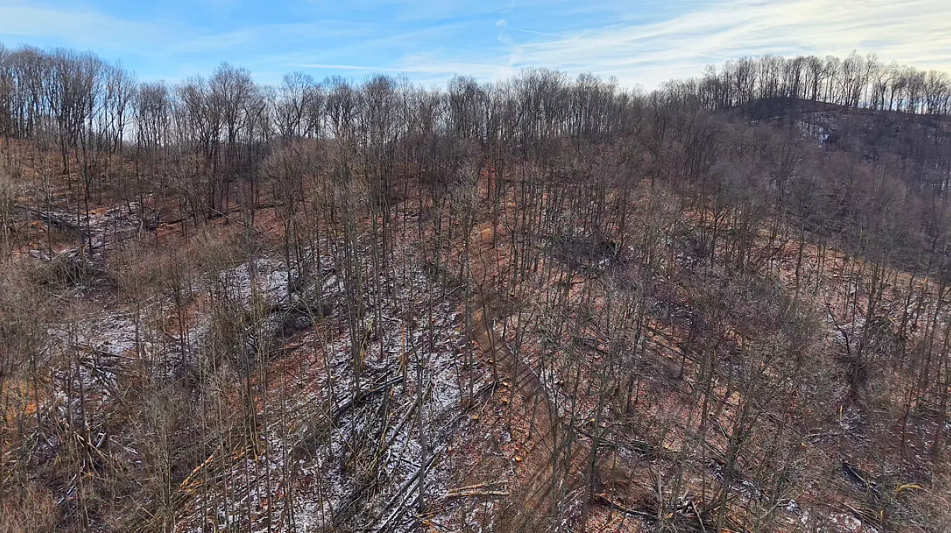 14.5 Acres in Pike County, OH - Moats Hollow Road Tract 2 - Photo 2