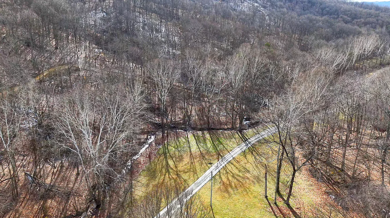 14.5 Acres in Pike County, OH - Moats Hollow Road Tract 2 - Photo 3