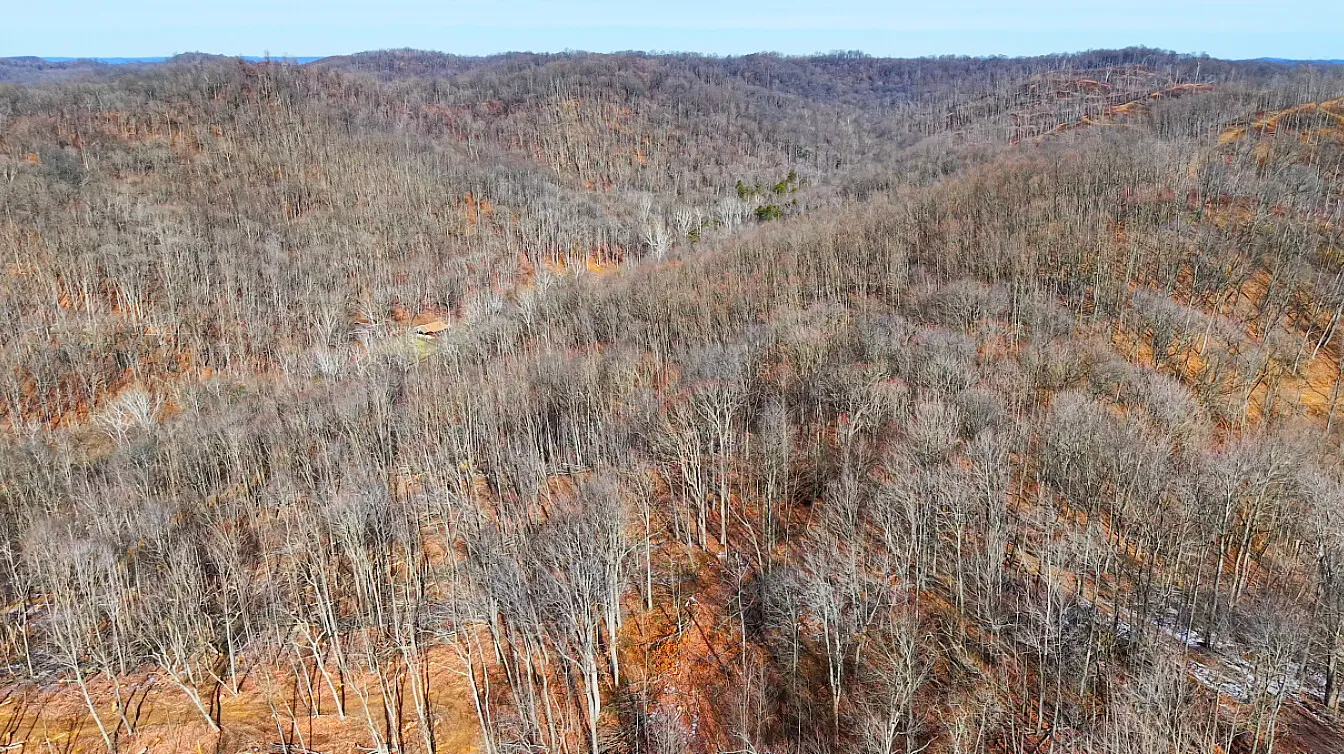 14.5 Acres in Pike County, OH - Moats Hollow Road Tract 2 - Photo 8