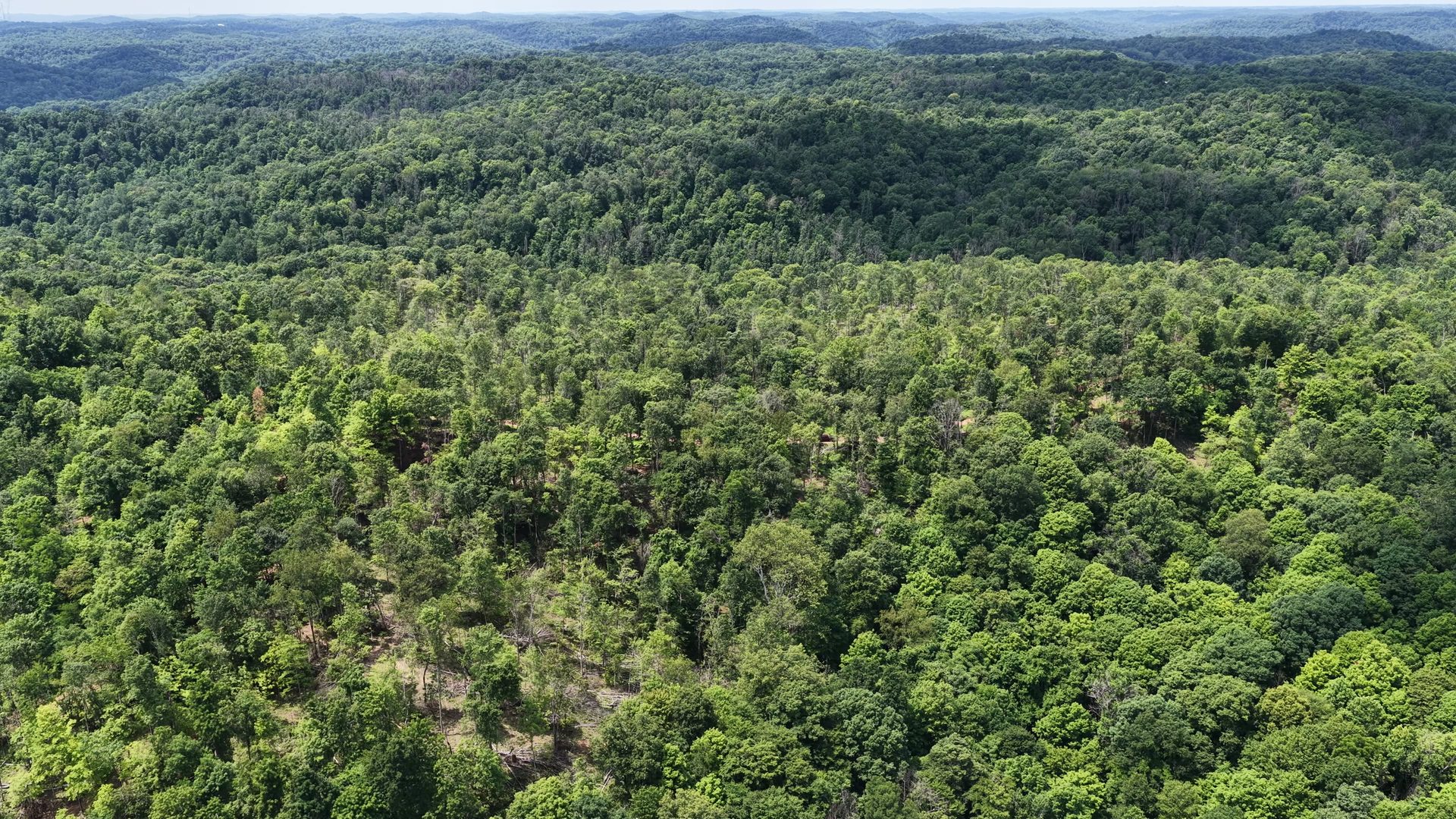 14 Acres with Interior Trail in Washington County, OH - Shay Ridge Road Tract 7 - Photo 2