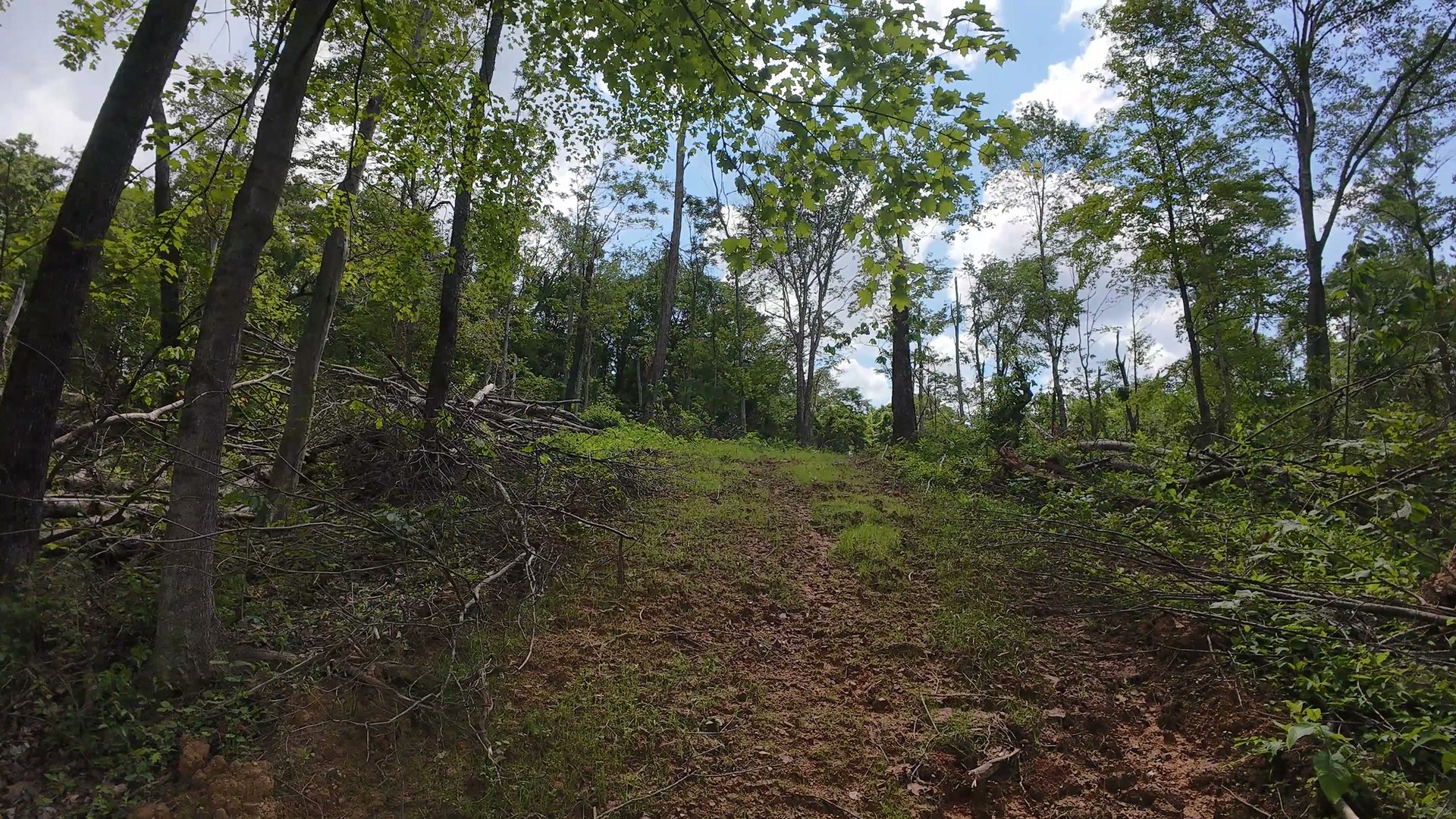 14 Acres with Interior Trail in Washington County, OH - Shay Ridge Road Tract 7 - Photo 11