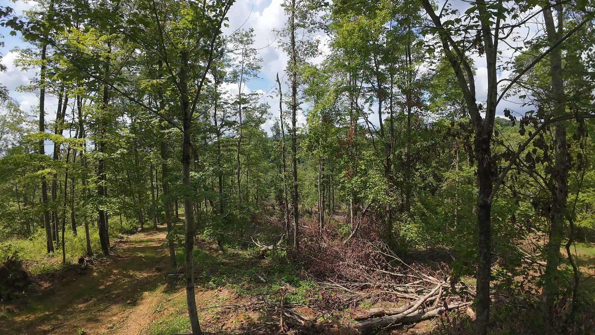 14 Acres with Interior Trail in Washington County, OH - Shay Ridge Road Tract 7 - Photo 12