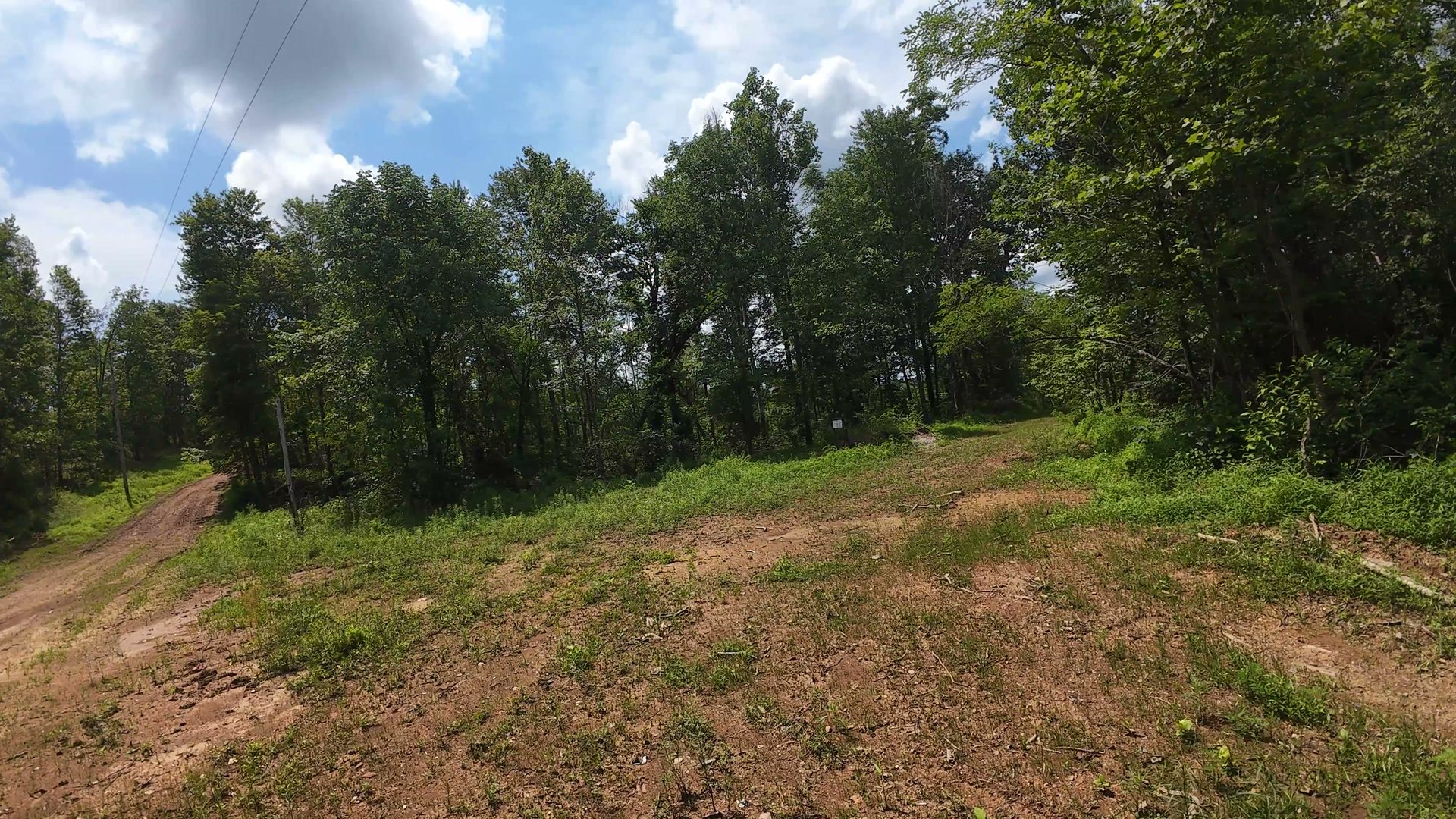 14 Acres with Interior Trail in Washington County, OH - Shay Ridge Road Tract 7 - Photo 13