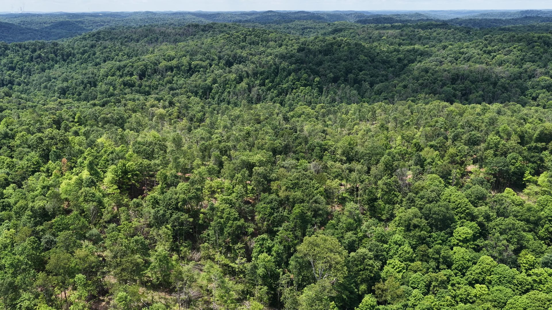 14 Acres with Interior Trail in Washington County, OH - Shay Ridge Road Tract 7 - Photo 3