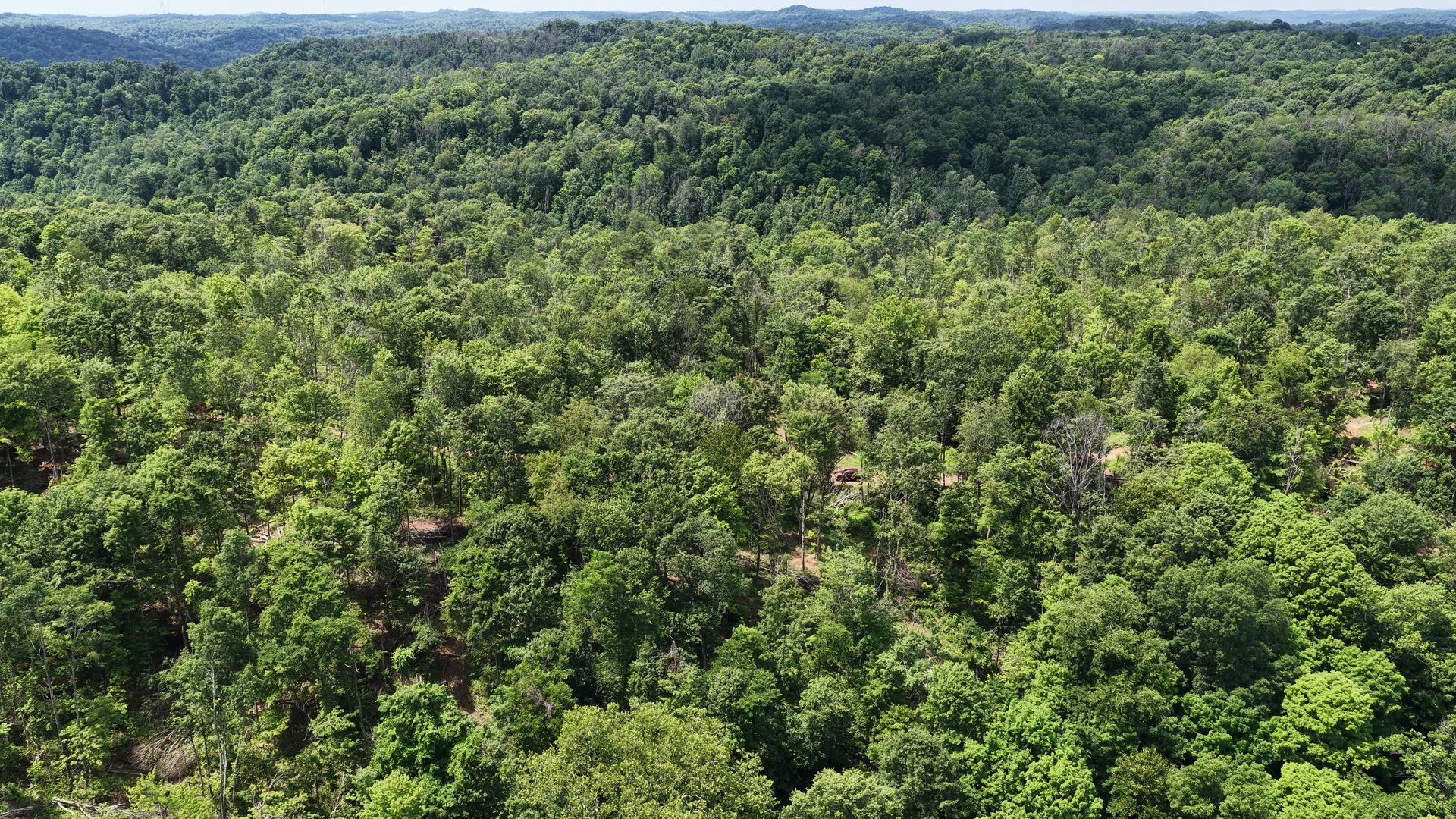 14 Acres with Interior Trail in Washington County, OH - Shay Ridge Road Tract 7 - Photo 4