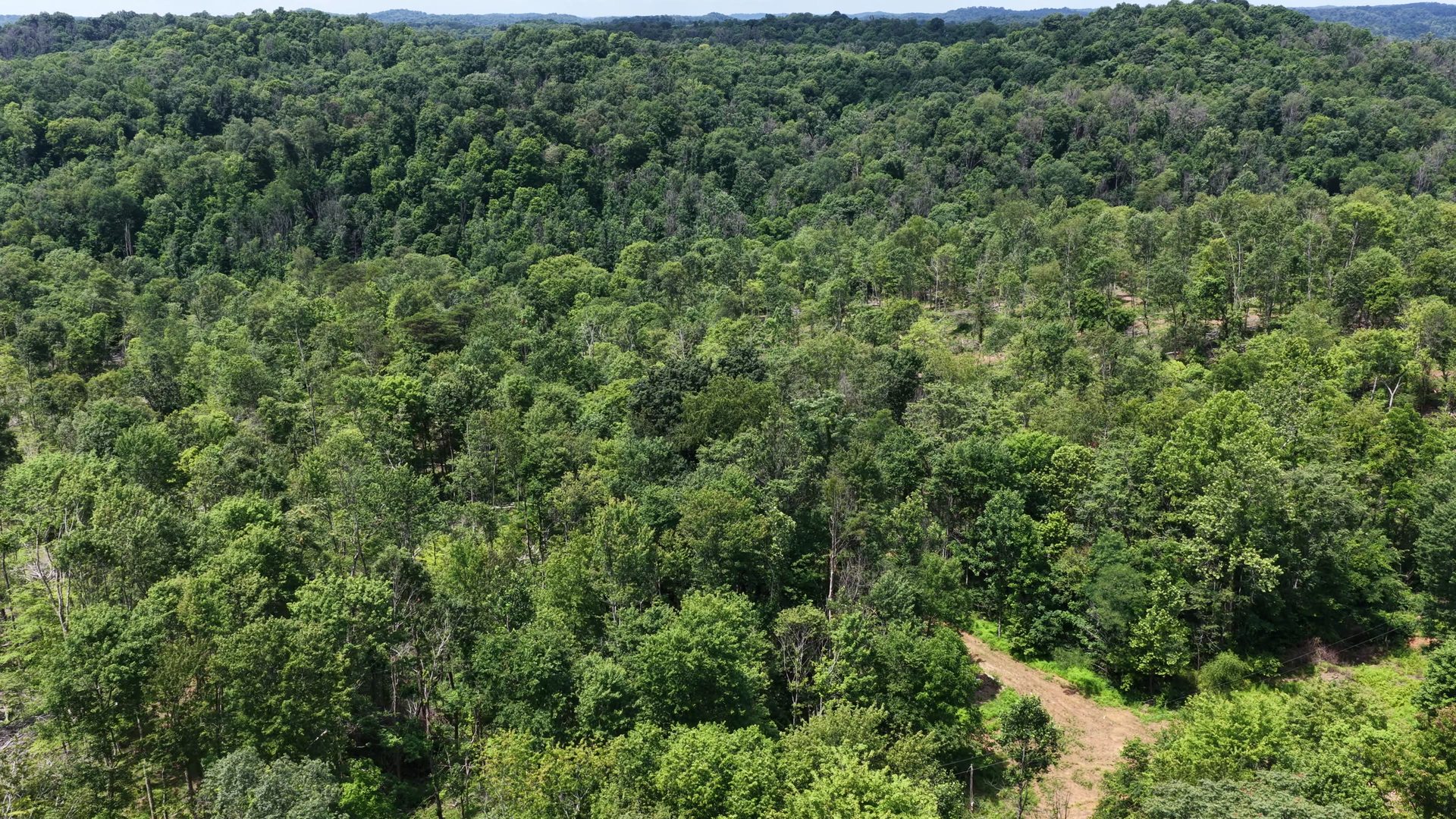 14 Acres with Interior Trail in Washington County, OH - Shay Ridge Road Tract 7 - Photo 6