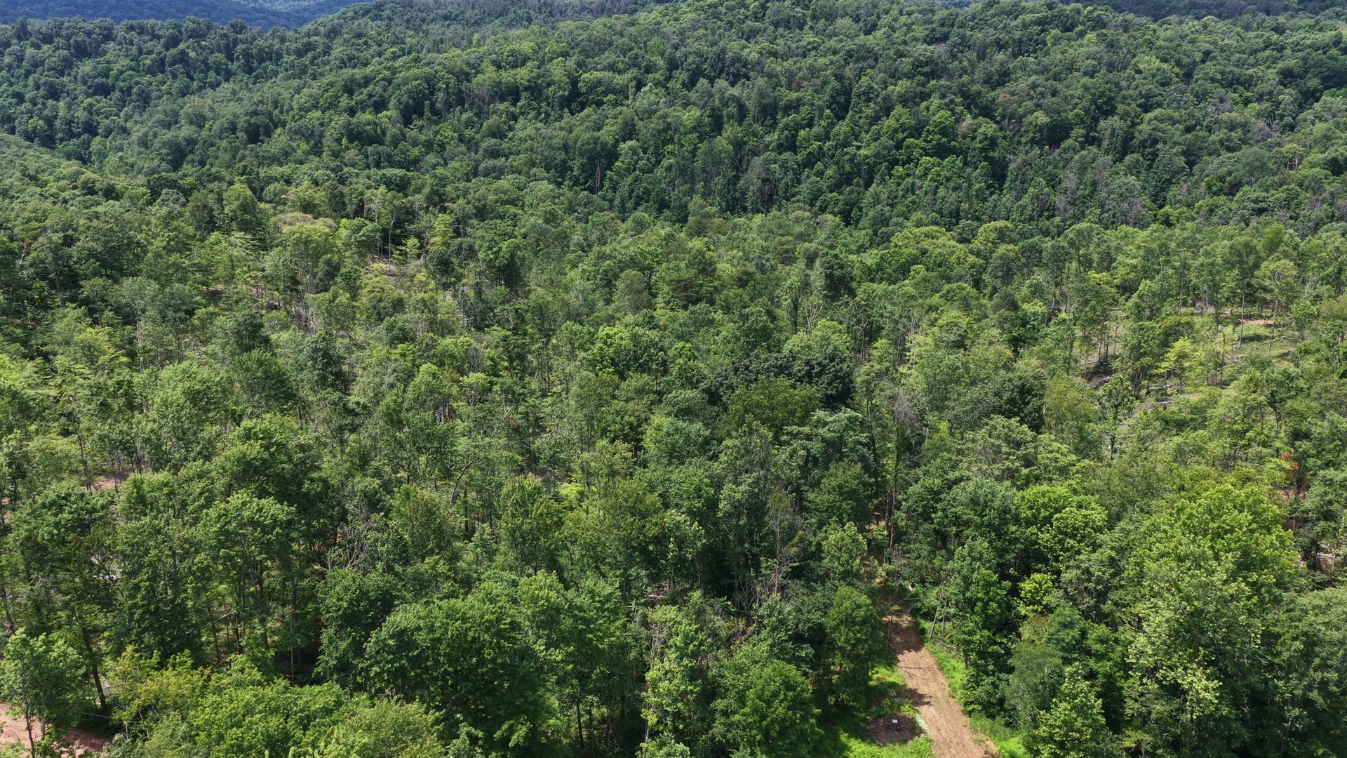 14 Acres with Interior Trail in Washington County, OH - Shay Ridge Road Tract 7 - Photo 8