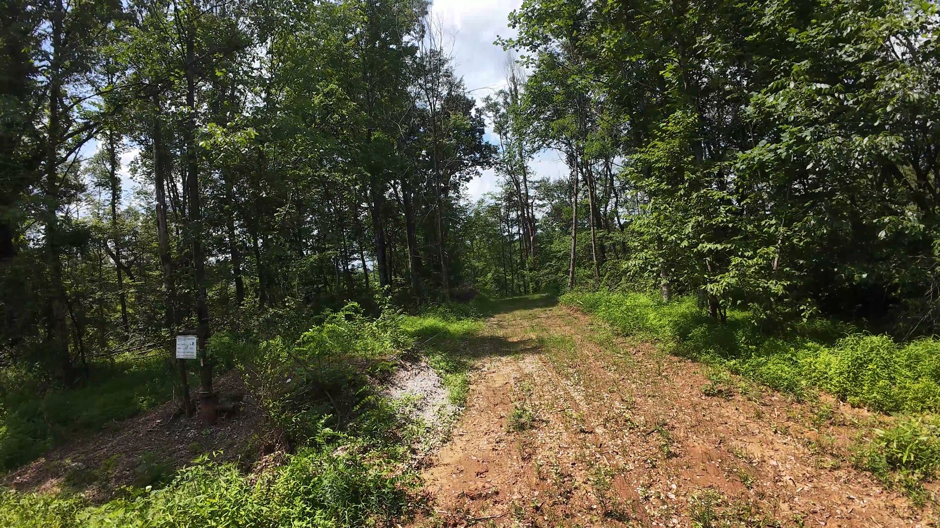 14 Acres with Interior Trail in Washington County, OH - Shay Ridge Road Tract 7 - Photo 9
