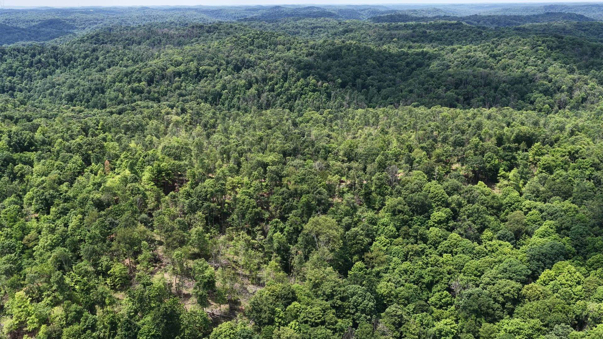 14 Acres with Interior Trail in Washington County, OH - Shay Ridge Road Tract 7 - Photo 1