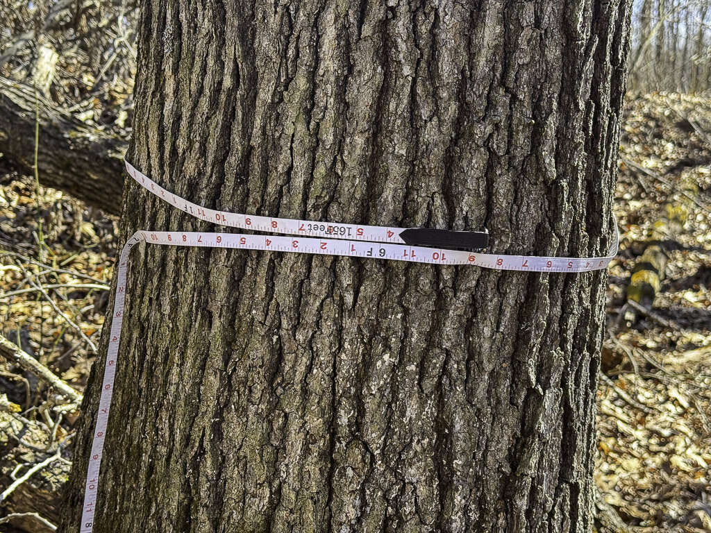 0 Deepwater Rd - 145 Acres in Fayette County, WV - Photo 2