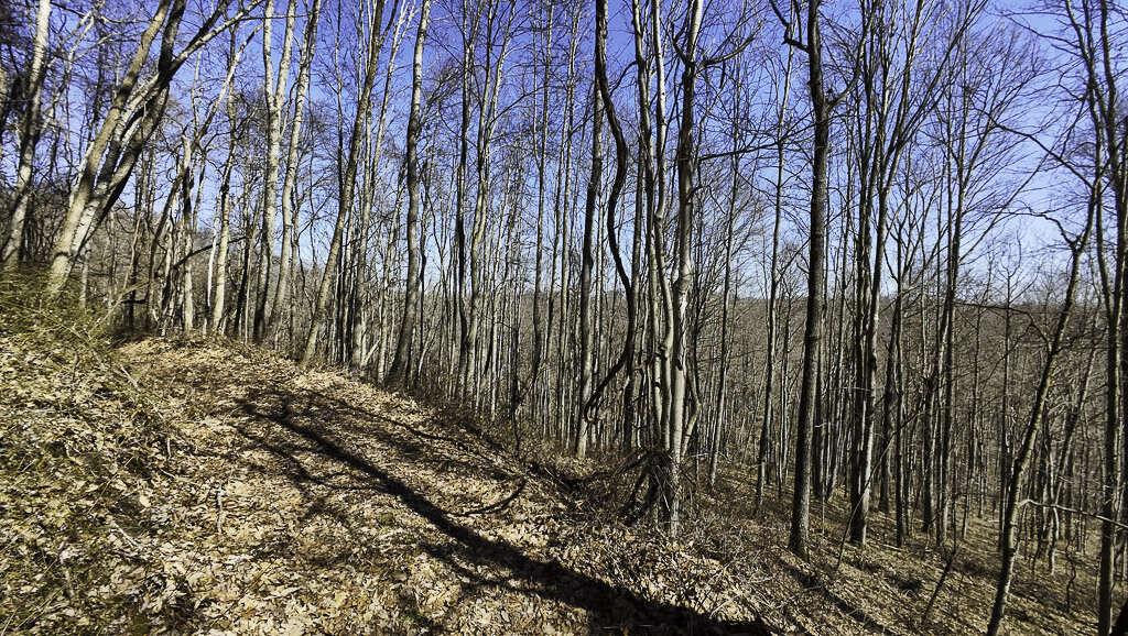 0 Deepwater Rd - 145 Acres in Fayette County, WV - Photo 11