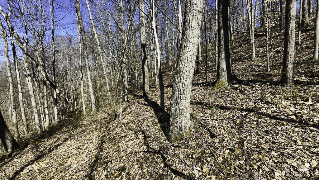 0 Deepwater Rd - 145 Acres in Fayette County, WV - Photo 13