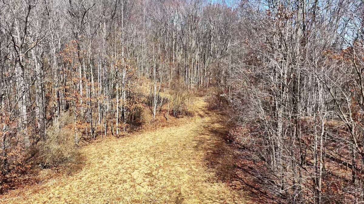 0 Deepwater Rd - 145 Acres in Fayette County, WV - Photo 14