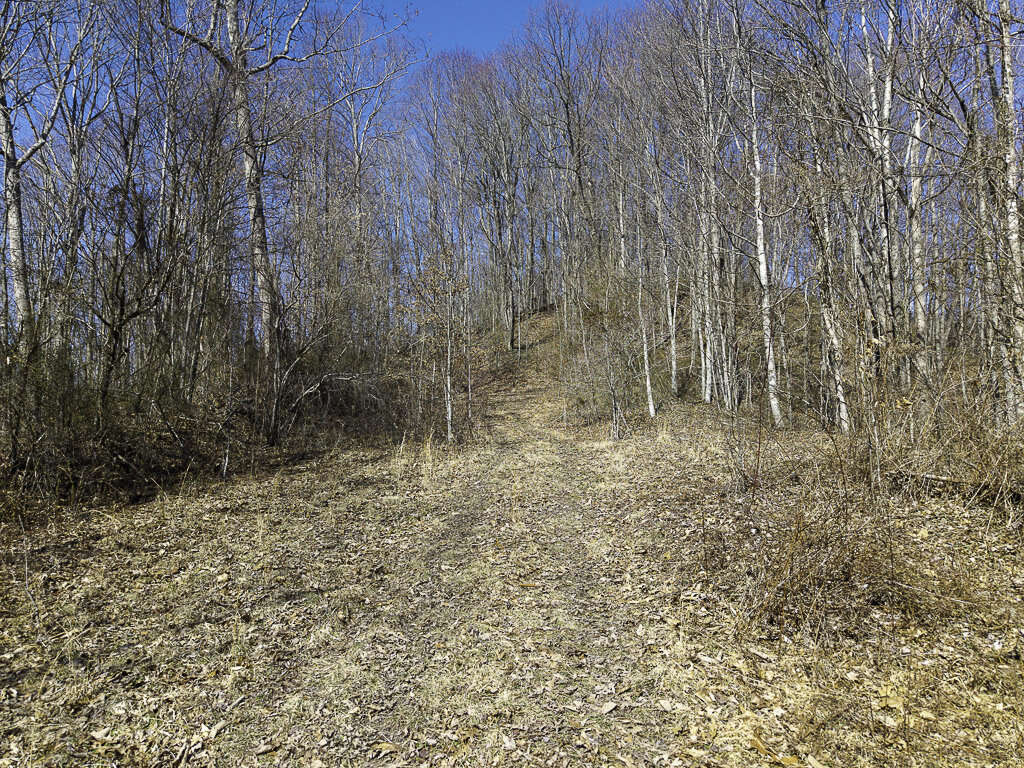 0 Deepwater Rd - 145 Acres in Fayette County, WV - Photo 15