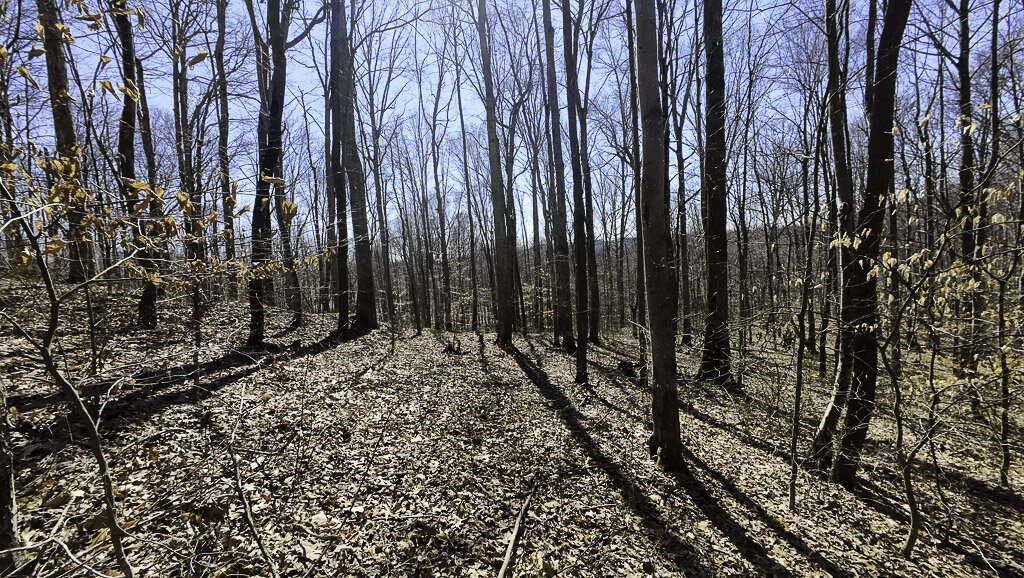 0 Deepwater Rd - 145 Acres in Fayette County, WV - Photo 16