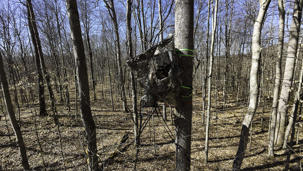 0 Deepwater Rd - 145 Acres in Fayette County, WV - Photo 18