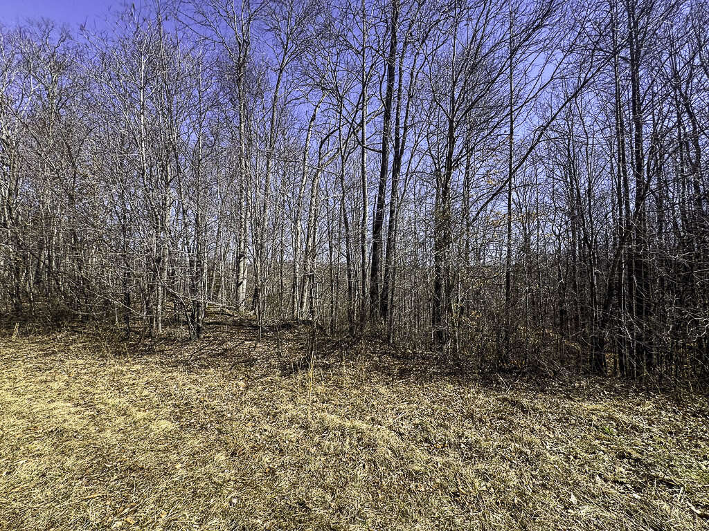 0 Deepwater Rd - 145 Acres in Fayette County, WV - Photo 19