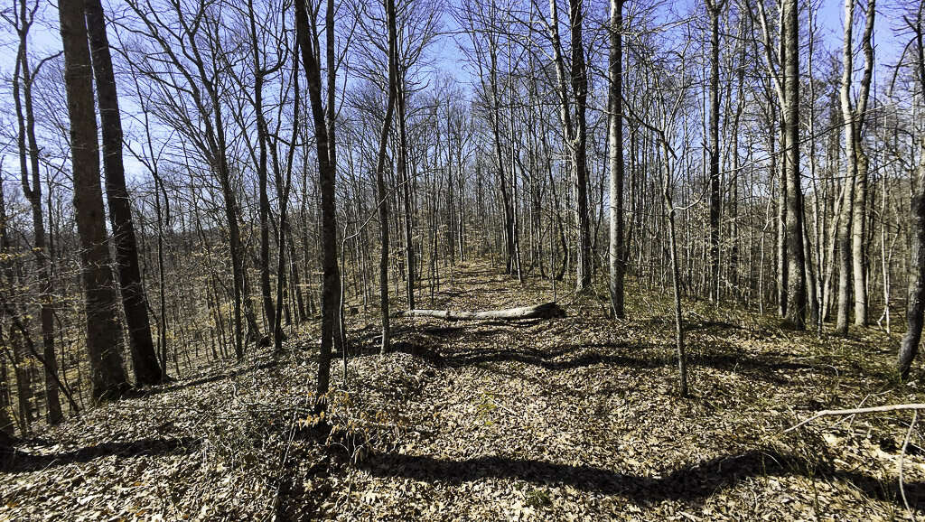 0 Deepwater Rd - 145 Acres in Fayette County, WV - Photo 20