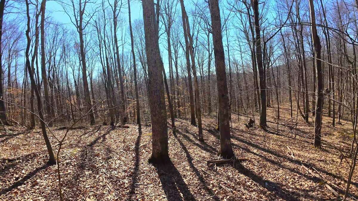 0 Deepwater Rd - 145 Acres in Fayette County, WV - Photo 3