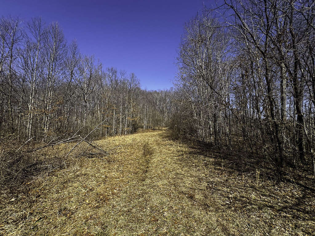 0 Deepwater Rd - 145 Acres in Fayette County, WV - Photo 21