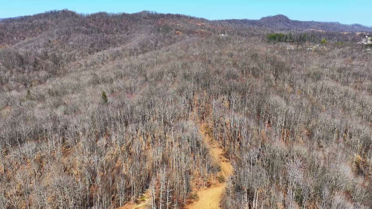 0 Deepwater Rd - 145 Acres in Fayette County, WV - Photo 22