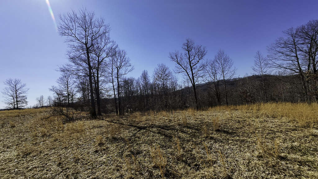 0 Deepwater Rd - 145 Acres in Fayette County, WV - Photo 23
