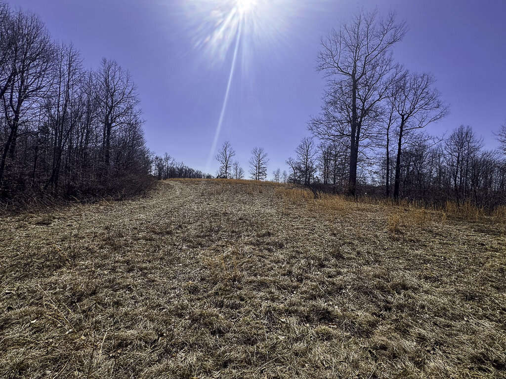 0 Deepwater Rd - 145 Acres in Fayette County, WV - Photo 25