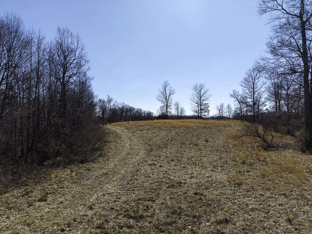 0 Deepwater Rd - 145 Acres in Fayette County, WV - Photo 28