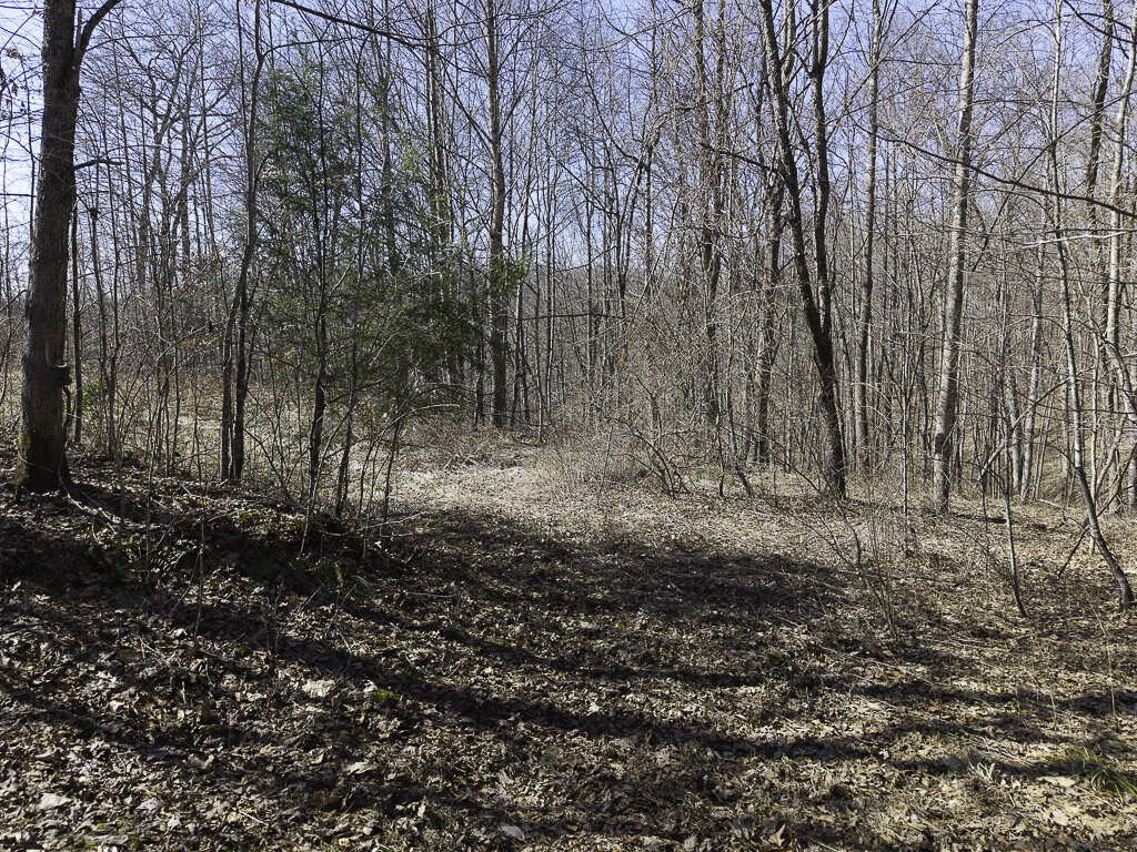 0 Deepwater Rd - 145 Acres in Fayette County, WV - Photo 5