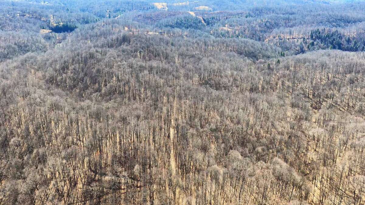 0 Deepwater Rd - 145 Acres in Fayette County, WV - Photo 7