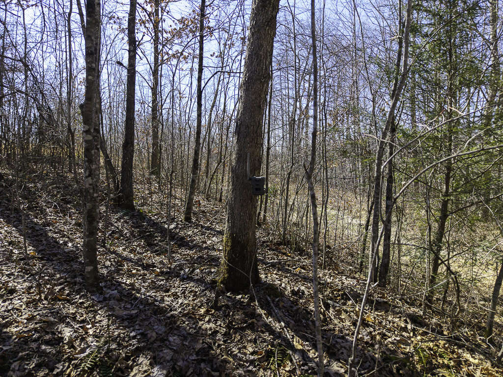 0 Deepwater Rd - 145 Acres in Fayette County, WV - Photo 8