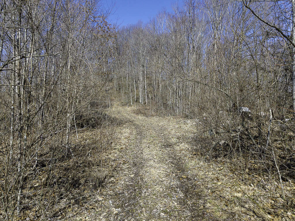 0 Deepwater Rd - 145 Acres in Fayette County, WV - Photo 9