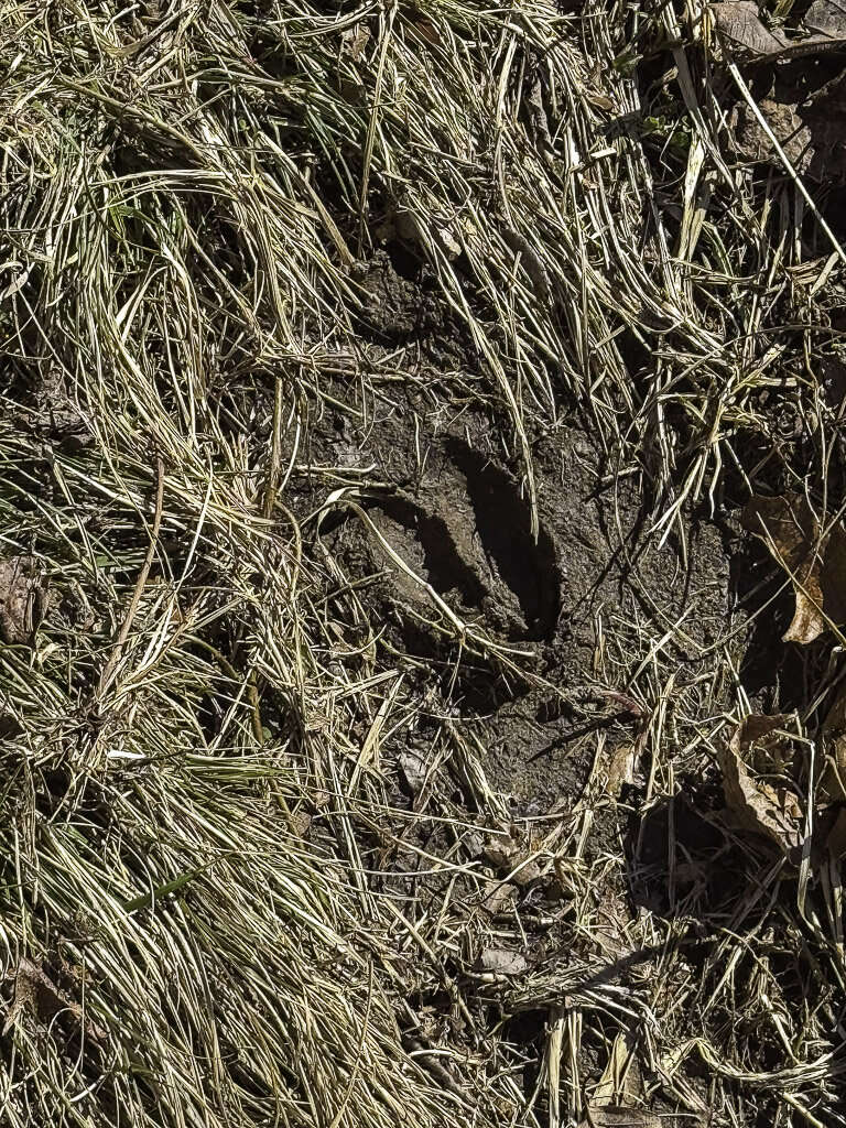 0 Deepwater Rd - 15 Acres in Fayette County, WV - Photo 2