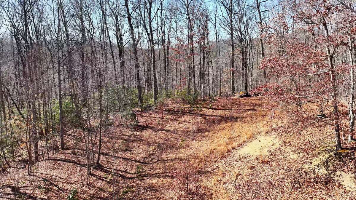 0 Deepwater Rd - 15 Acres in Fayette County, WV - Photo 11
