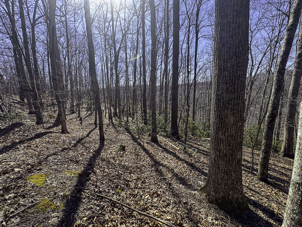 0 Deepwater Rd - 15 Acres in Fayette County, WV - Photo 12