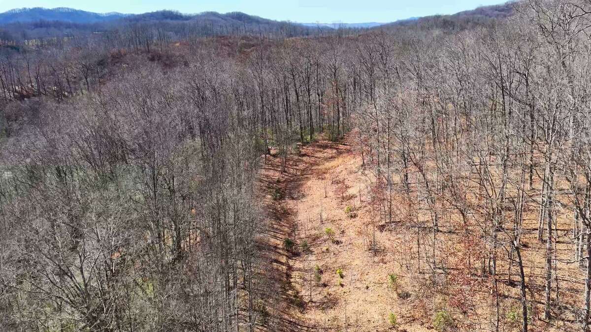 0 Deepwater Rd - 15 Acres in Fayette County, WV - Photo 14
