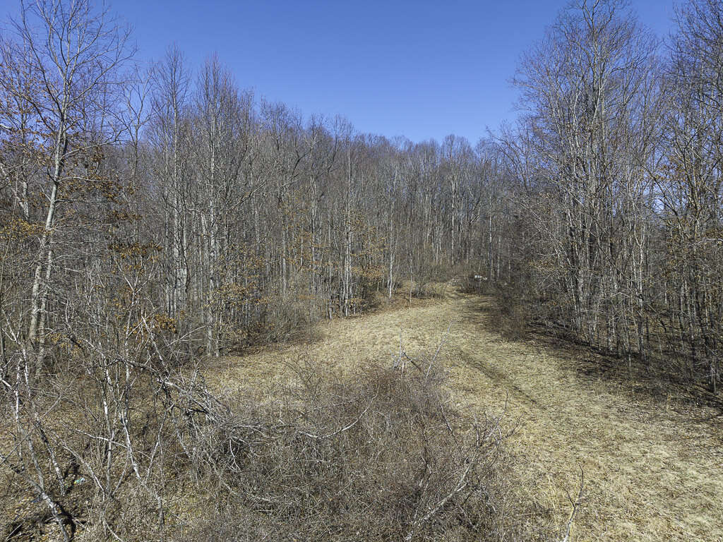 0 Deepwater Rd - 15 Acres in Fayette County, WV - Photo 16