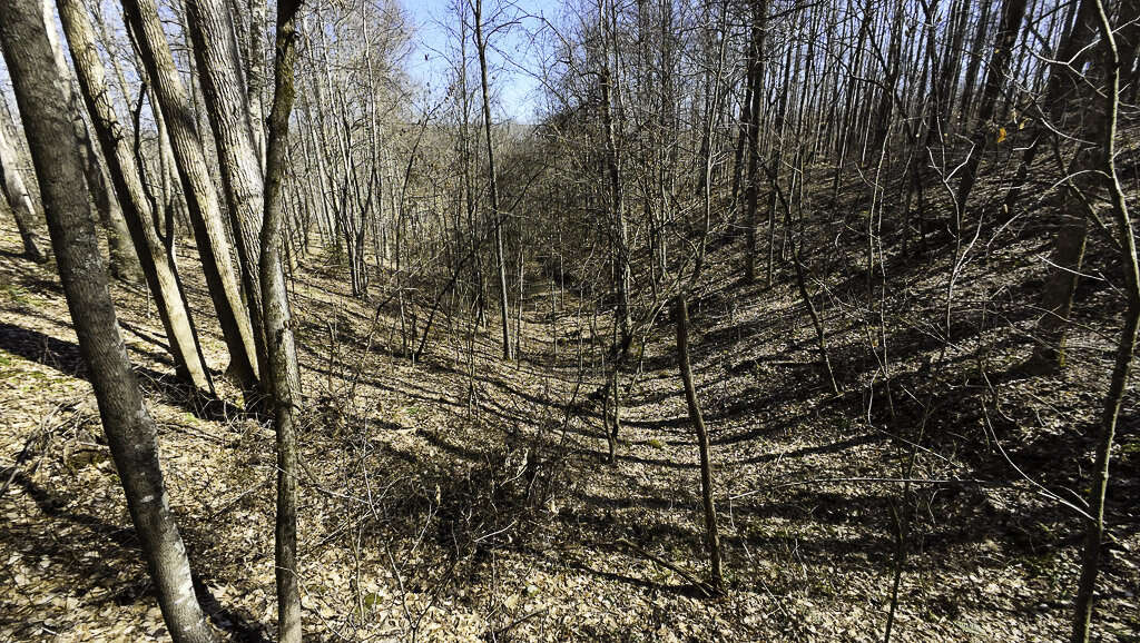 0 Deepwater Rd - 15 Acres in Fayette County, WV - Photo 4