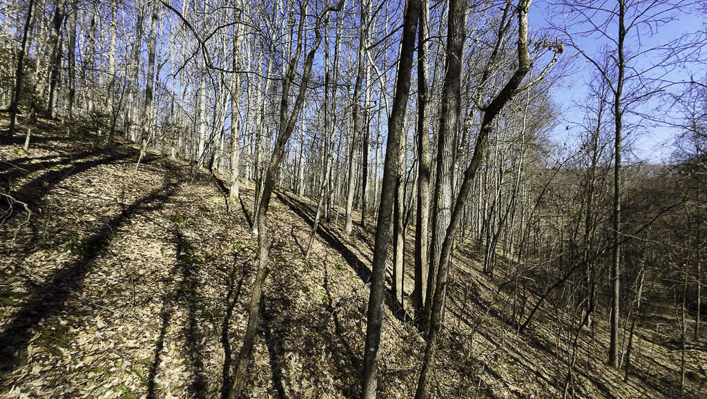 0 Deepwater Rd - 15 Acres in Fayette County, WV - Photo 5