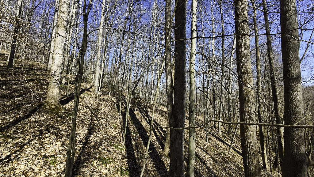 0 Deepwater Rd - 15 Acres in Fayette County, WV - Photo 6