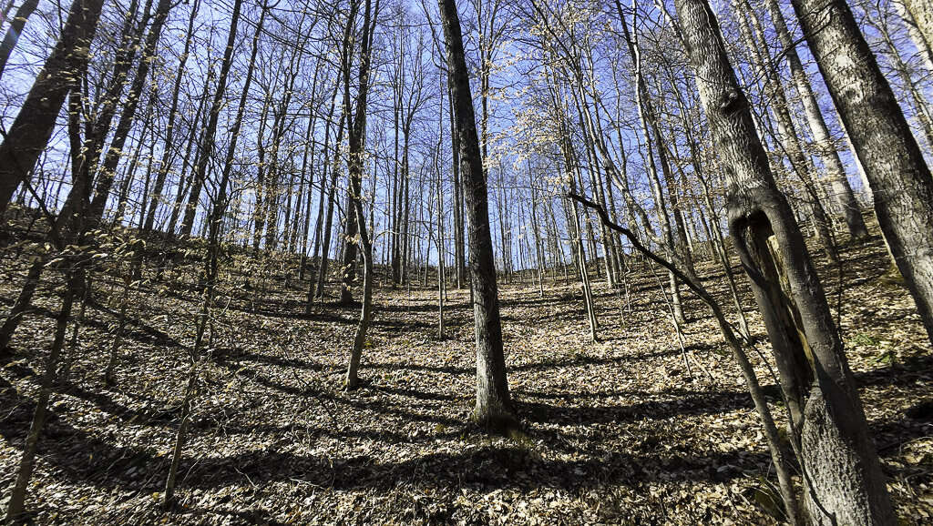0 Deepwater Rd - 15 Acres in Fayette County, WV - Photo 7