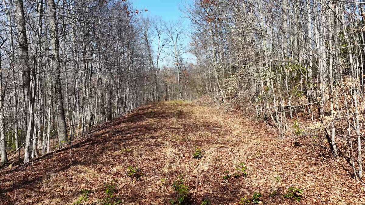 0 Deepwater Rd - 15 Acres in Fayette County, WV - Photo 10